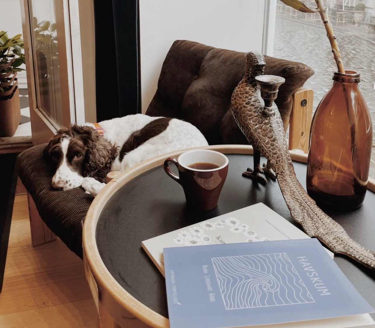 A spaniel resting on a couch beside an espresso and books on a round table at Aoife Coffee