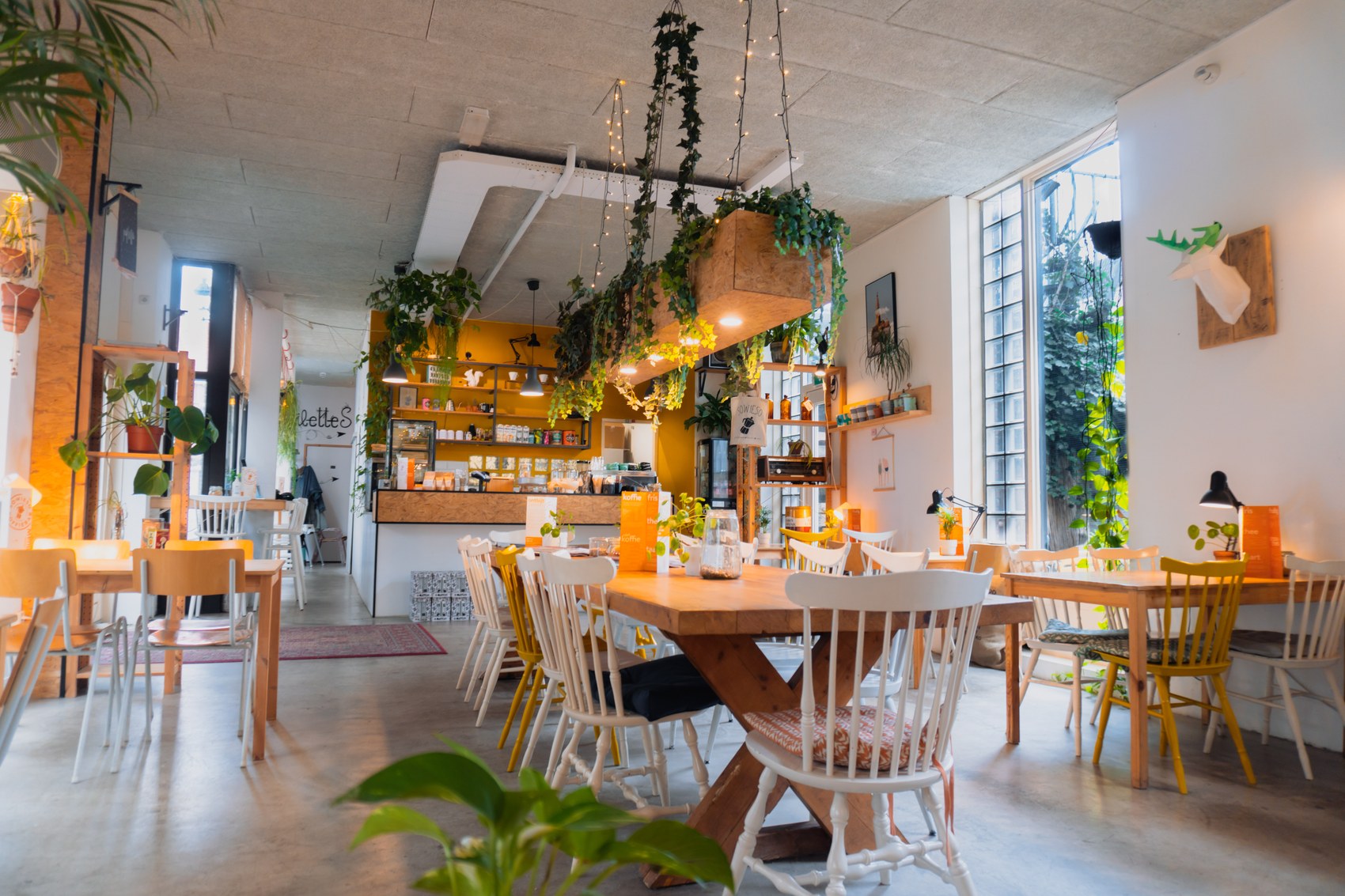 A plant filled dining room with mismatched painted chairs around communal wooden tables, a mustard yellow counter behind