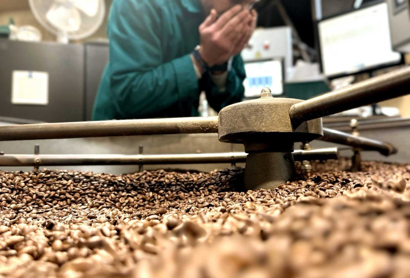 A close view of roasted coffee beans in the drum at OR Coffee's roastery, a staff member checking the batch behind