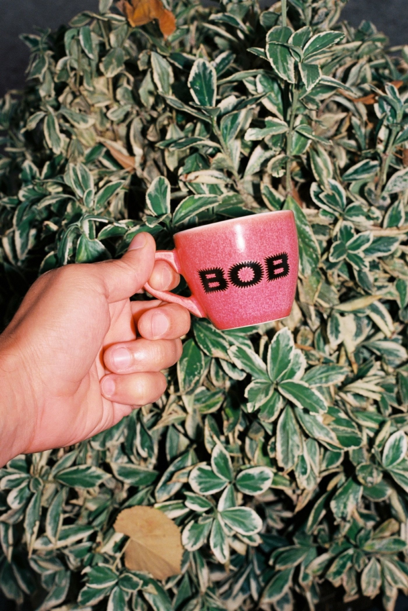 A hand holding a pink branded BOB mug against a leafy backdrop