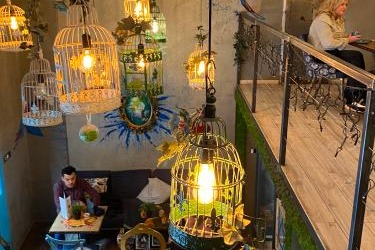 Hanging birdcage light fixtures over the plant covered interior at Blue Bird Roastery, with the mezzanine level visible above
