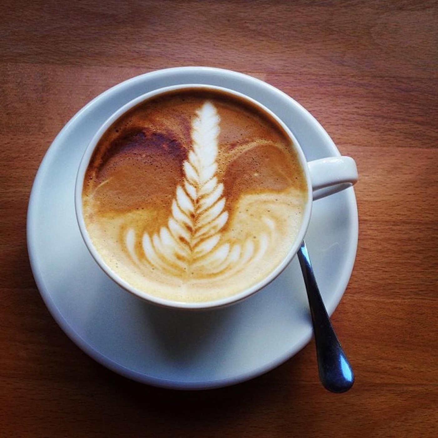 A cappuccino with fern latte art in a white cup and saucer on a wooden table at Madal Café
