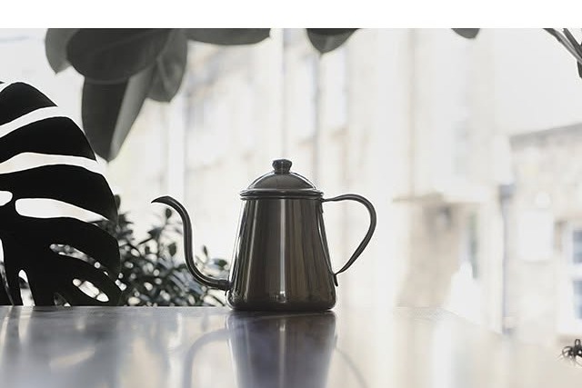 A gooseneck pour over kettle on the counter at Rubiaceae, backlit by a bright window with monstera and other houseplants in the foreground