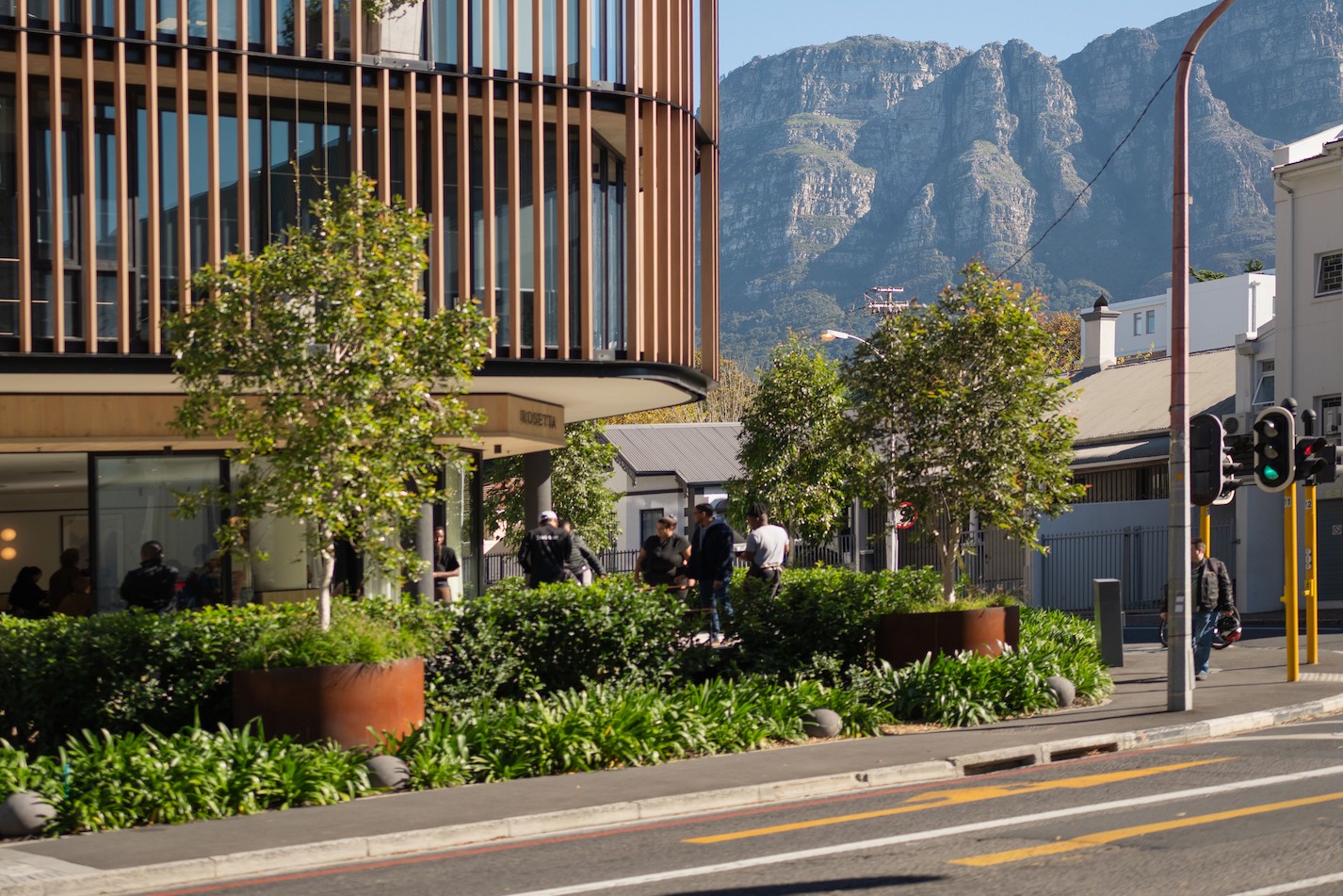 The curved timber slatted building at 1 Osborne Road in Claremont with the Rosetta sign above the glazed ground floor cafe, trees and planters in front and Table Mountain rising behind