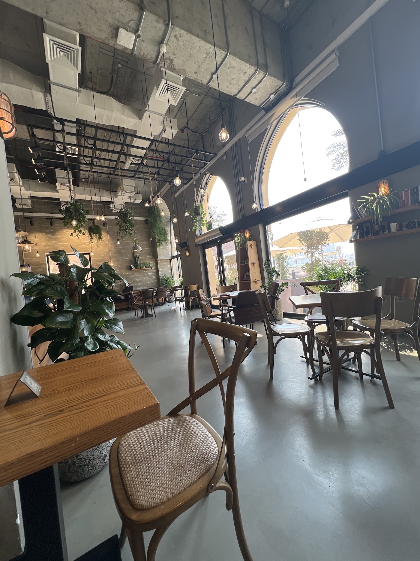 The high ceilinged interior of Flat White with arched windows, hanging plants, and string lit bulbs above wooden cafe tables