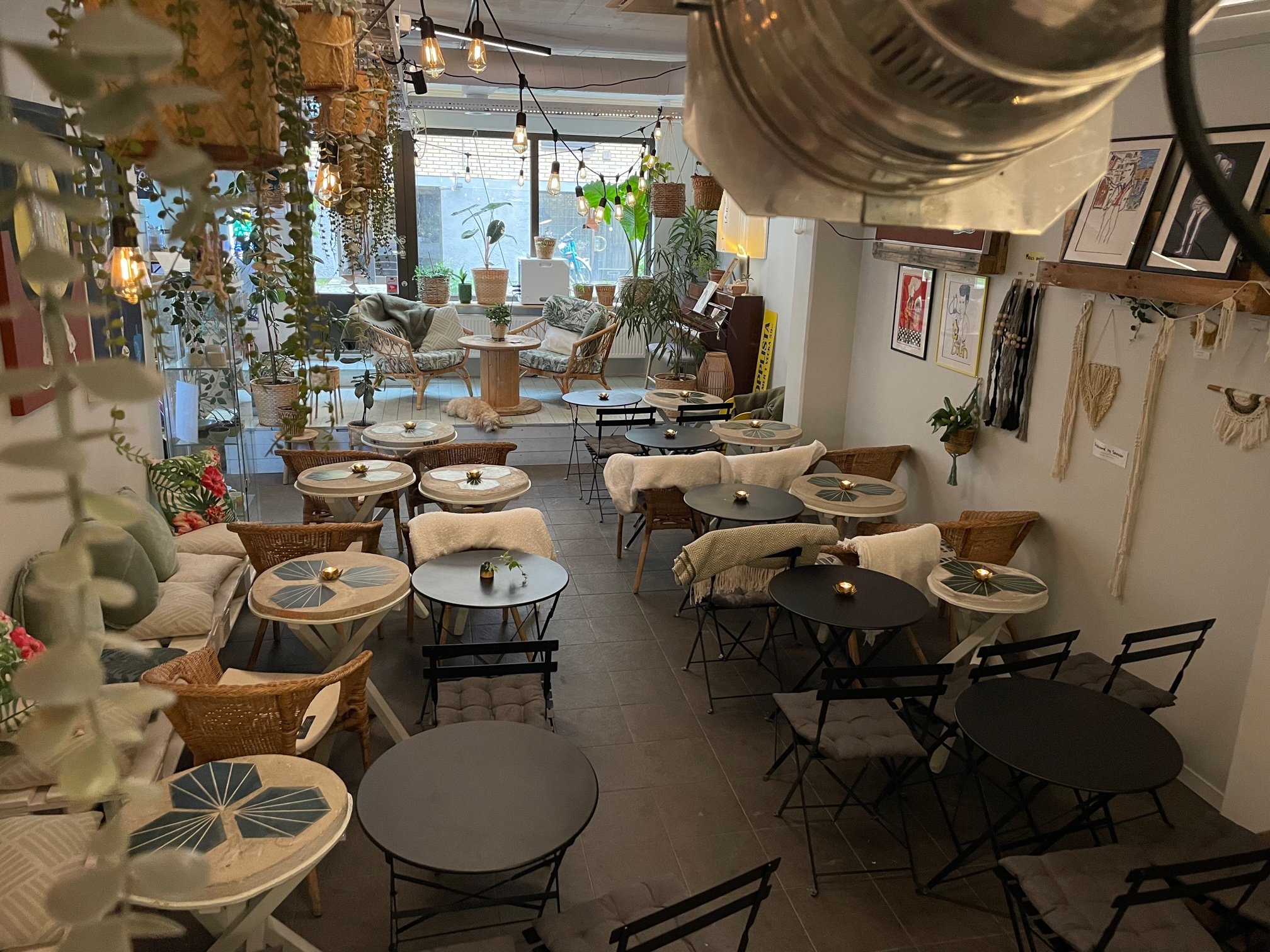 The plant filled, boho furnished seating area at Kaffe Kid in Gothenburg, with string lights and a dog curled up in the back corner
