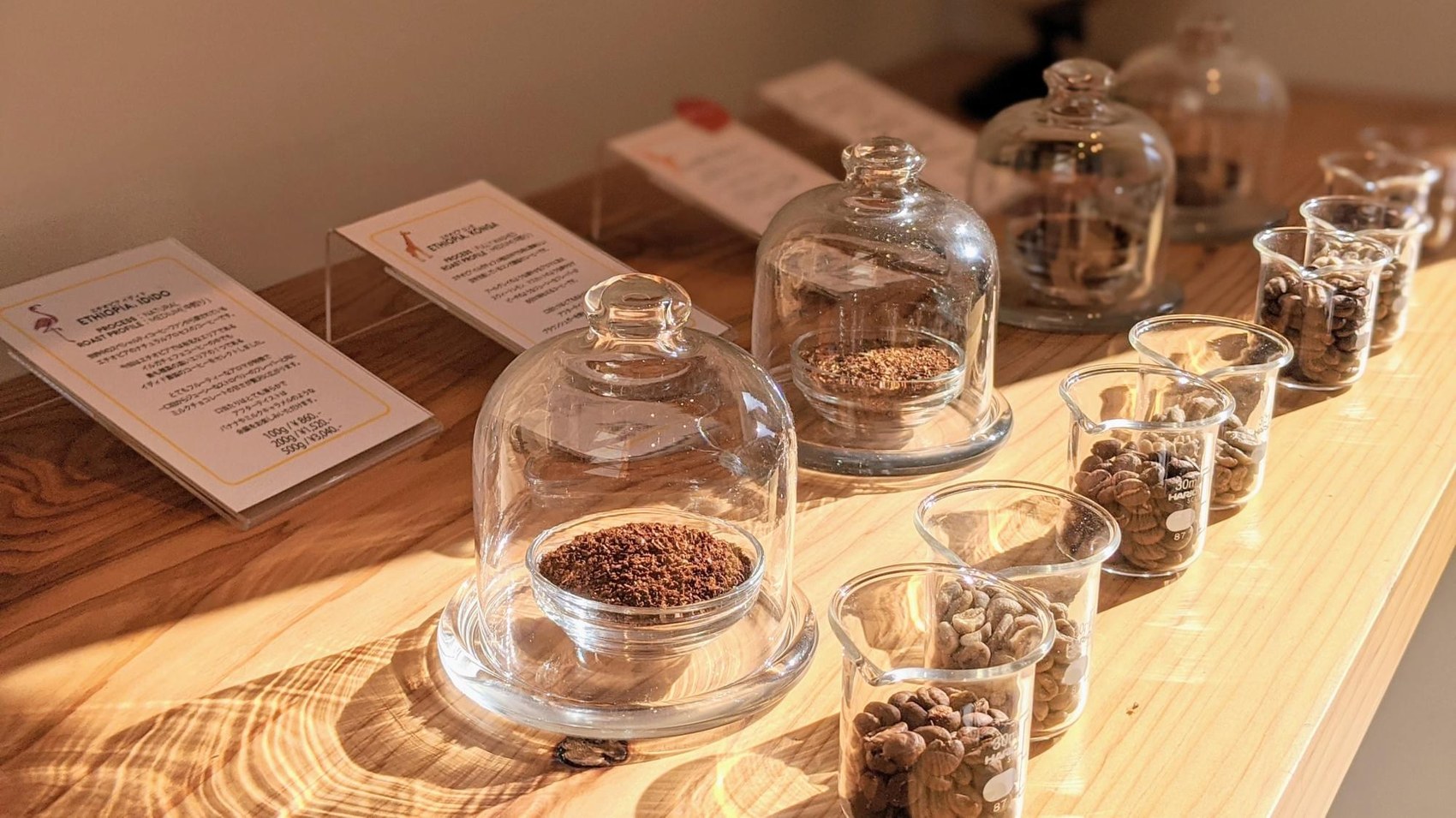 A bean display counter with bell jars of roasted and green coffee beside printed Ethiopia tasting cards, cedar beams overhead