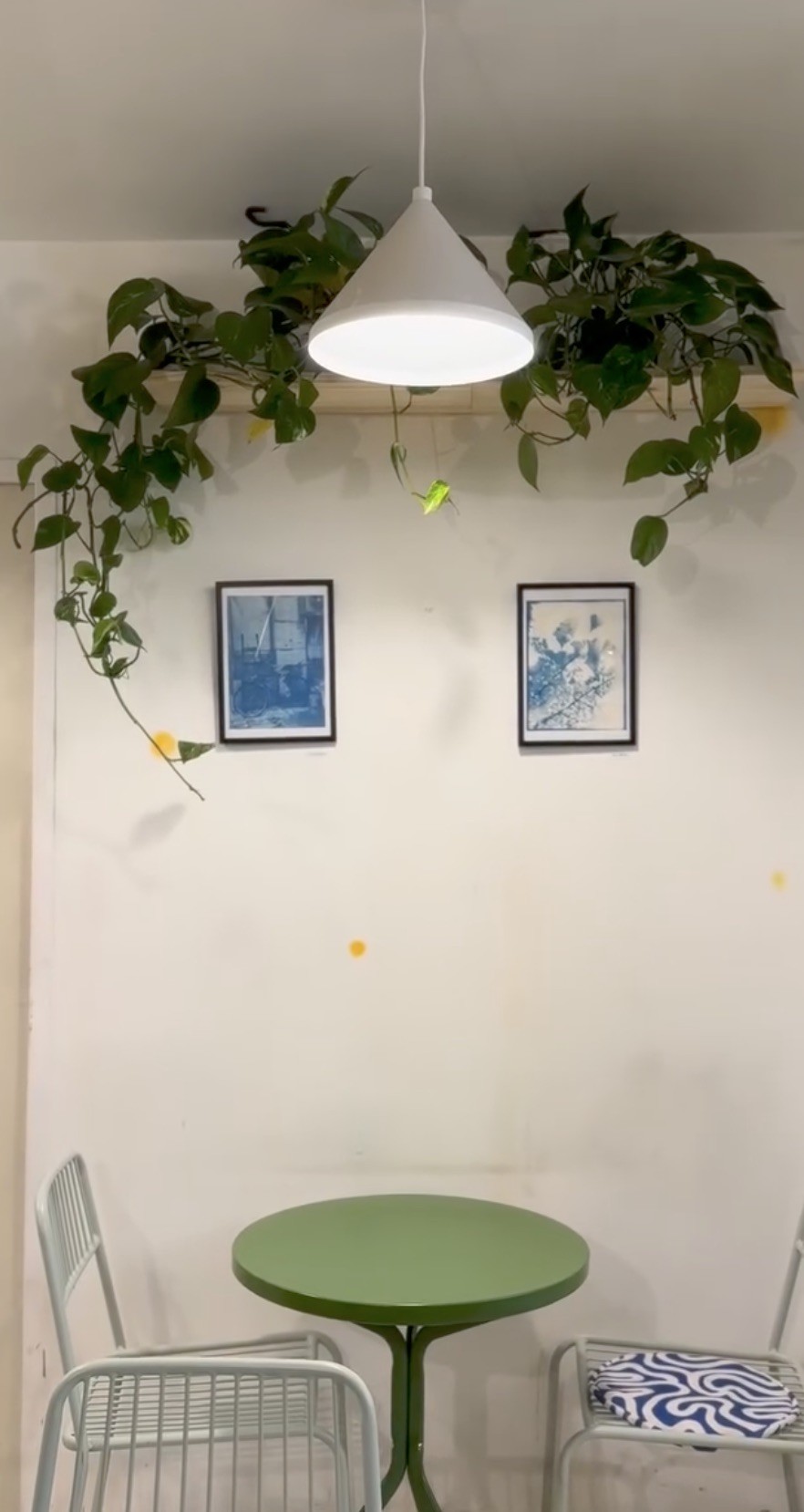 A green cafe table and metal chairs beneath trailing pothos plants and framed blue toned prints on a white wall