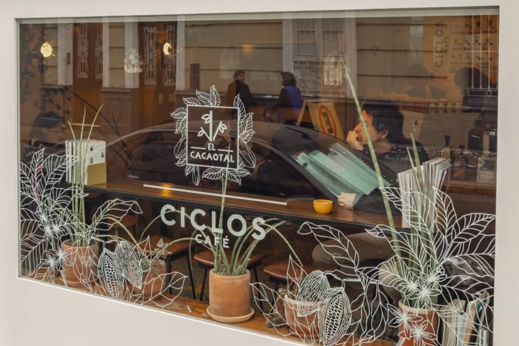The Ciclos Cafe window with white line drawings of plants and cacao pods around the Ciclos Cafe and El Cacaotal logos, clay pots of snake plants and a wooden counter inside