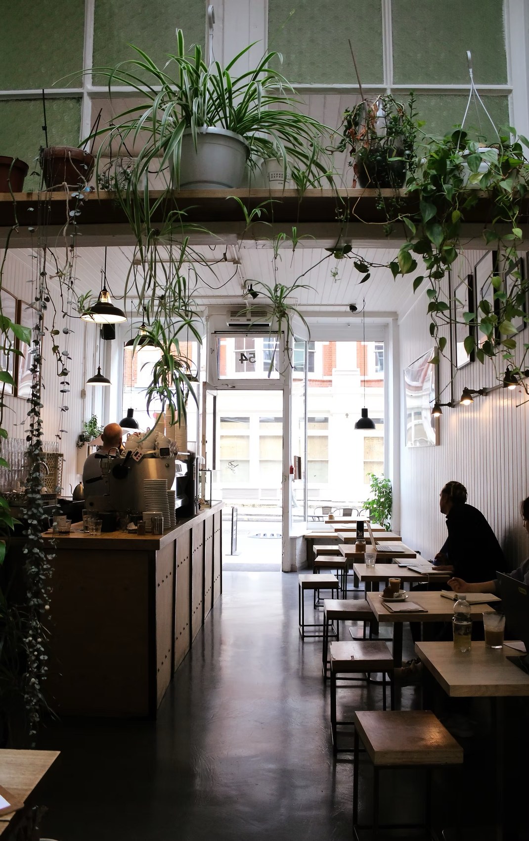 The plant filled, high ceilinged interior with the espresso counter and customers working on laptops at wooden tables