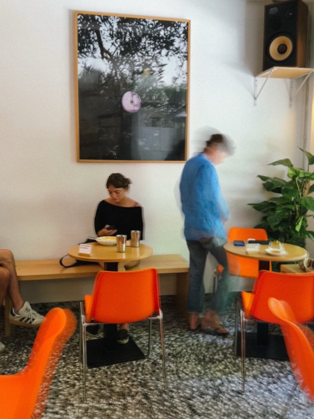 Inside Toma Cafe, orange chairs and terrazzo floor beneath a framed photograph on the wall