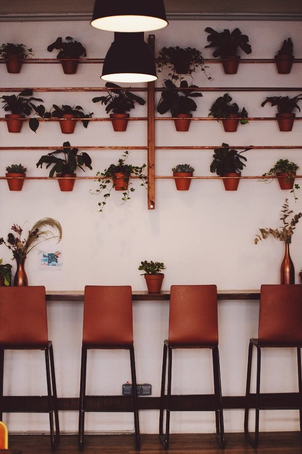 Rows of potted plants on copper shelves above a row of leather bar stools along a wooden counter