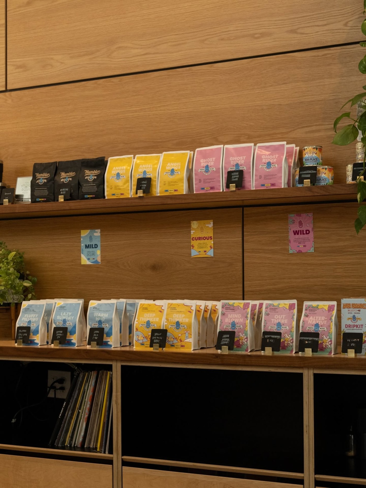 Rows of colorful Proud Mary retail coffee bags labeled Mild, Curious, and Wild on a wooden shelf above stacked vinyl records