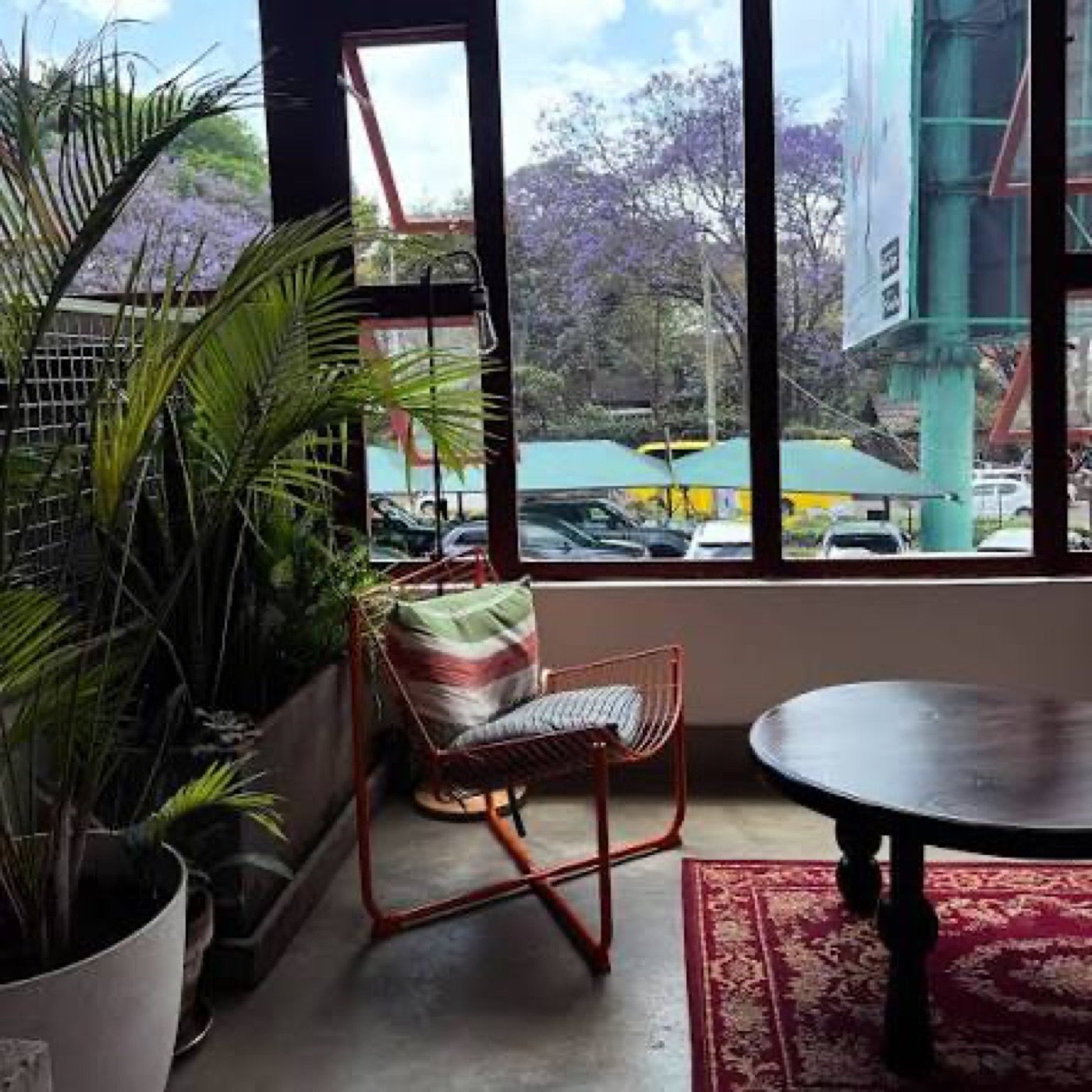 A quiet corner at The Canteen with potted palms, a wire chair, and a round table on a patterned rug