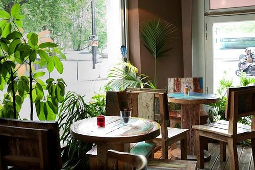 A plant filled corner of La Caféothèque, small round wooden tables and mismatched chairs beside the street facing window