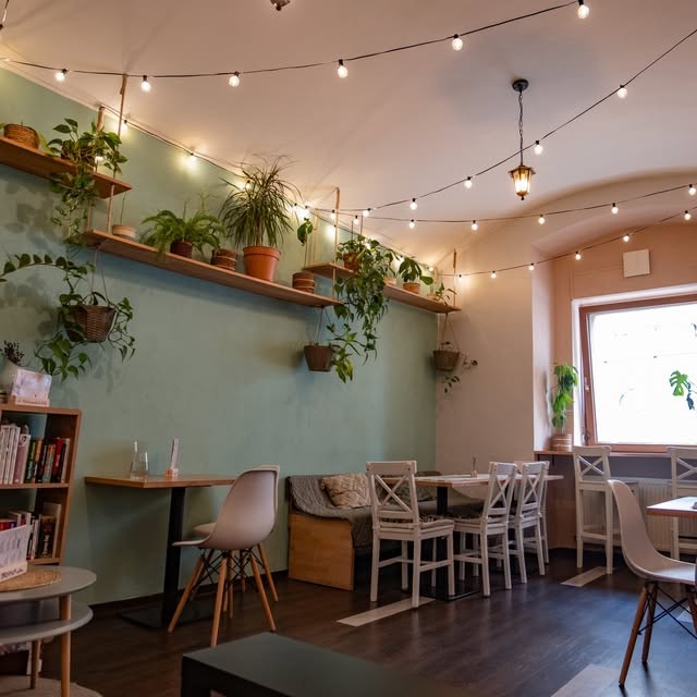 Reading nook at Dream Up Coffee with sagging bookshelves, hanging plants, string lights, and mismatched armchairs along a pale green wall
