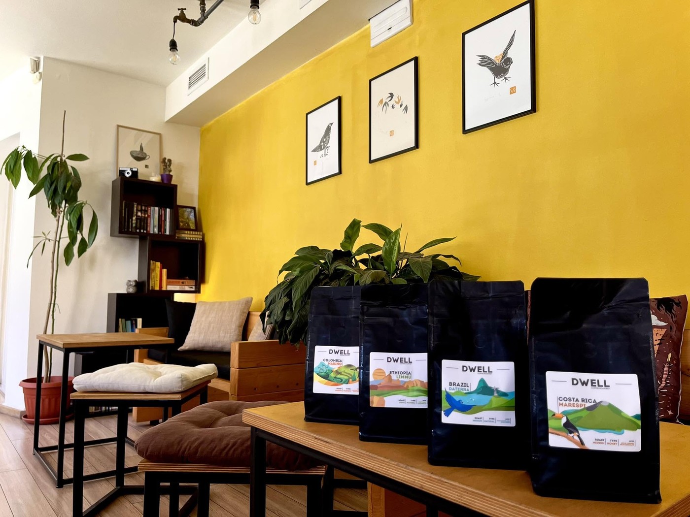 Four bags of DWELL branded single origin coffee lined up on a wooden table in front of a mustard yellow wall hung with bird illustrations