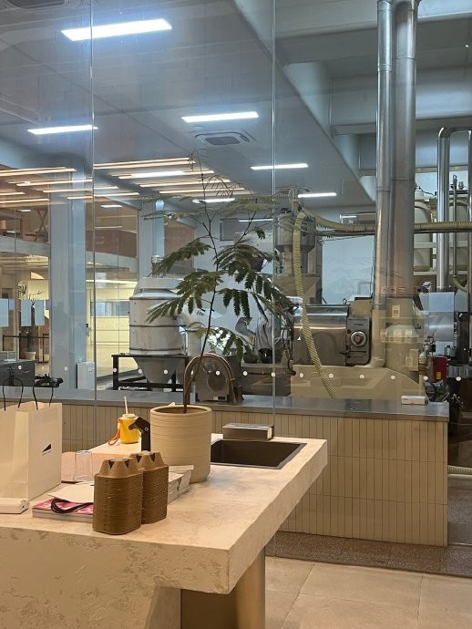 The glass wall between the retail counter and the roasting floor, with a roasting machine and ducting visible behind a potted plant and stone counter