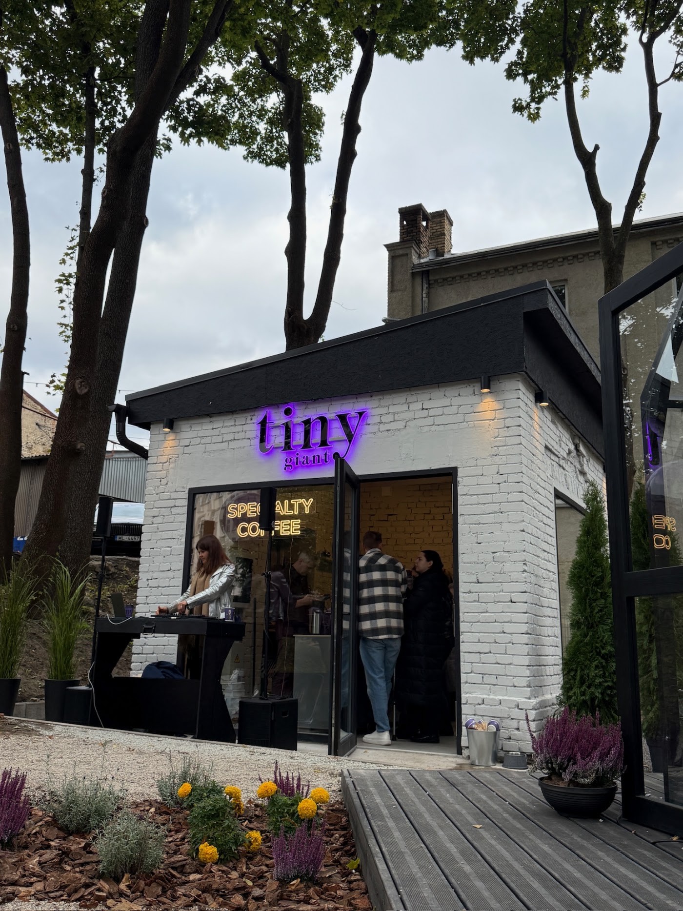 The white brick Tiny Giant storefront with its glowing purple neon sign and Specialty Coffee window lettering during an evening event