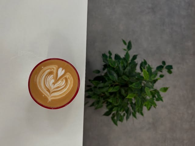 Latte art viewed from above in a red rimmed cup beside a potted plant at Bloom Cafe