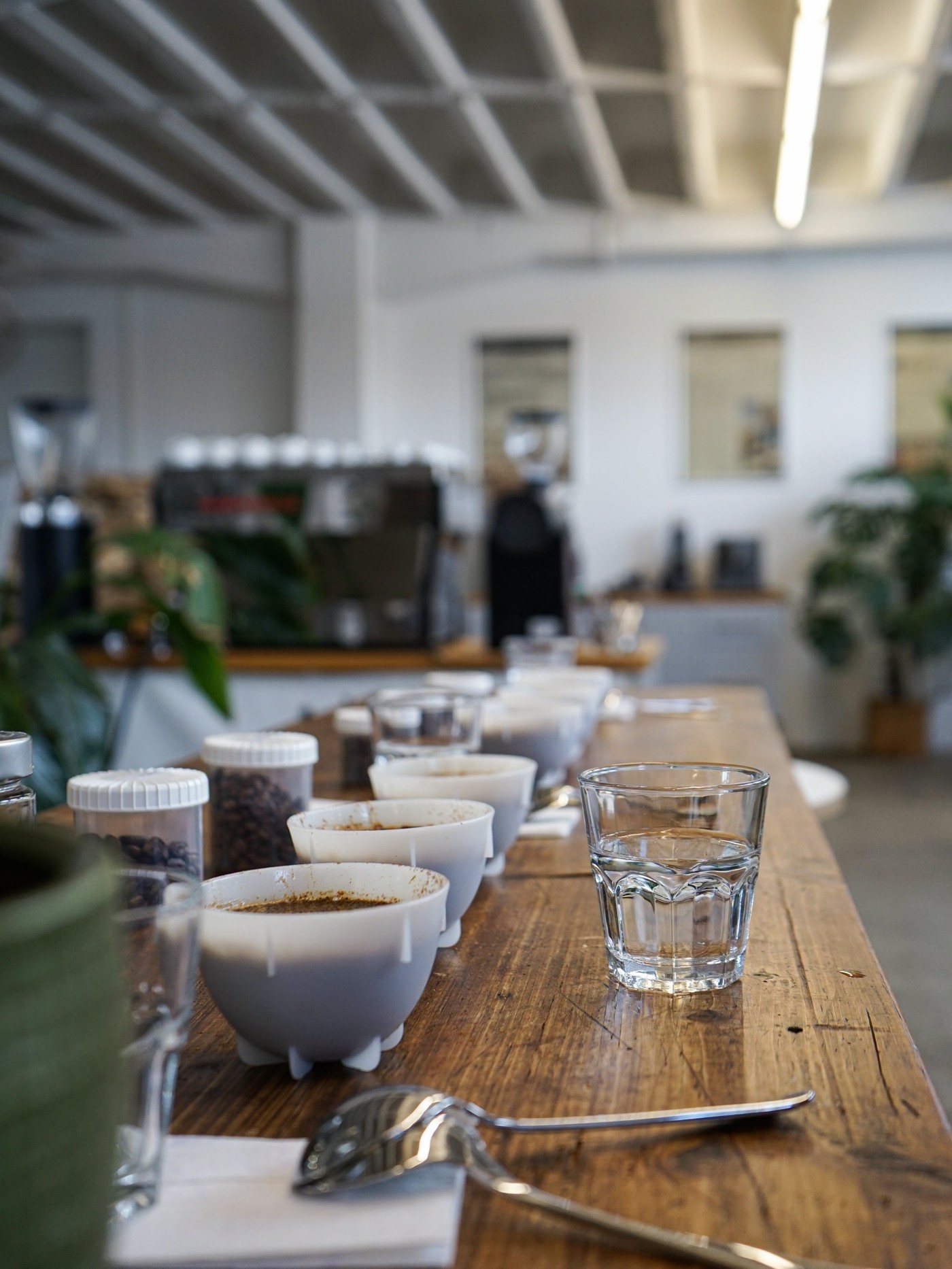 A row of cupping bowls filled with ground coffee next to sample jars of beans and a water glass, the espresso bar blurred behind