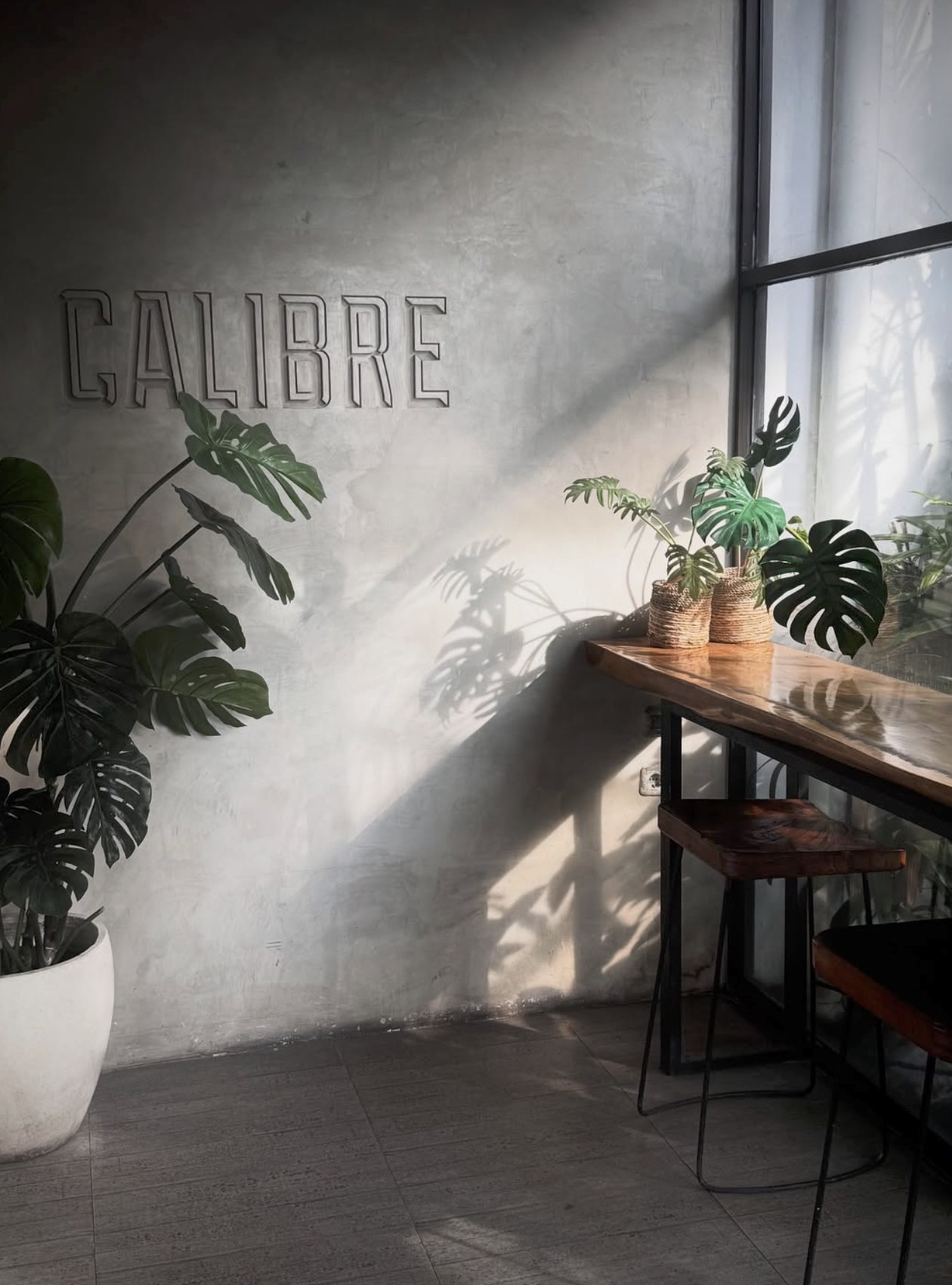 The Calibre Coffee Roasters interior with the raw concrete CALIBRE wall sign, potted monstera plants and a live edge wooden table
