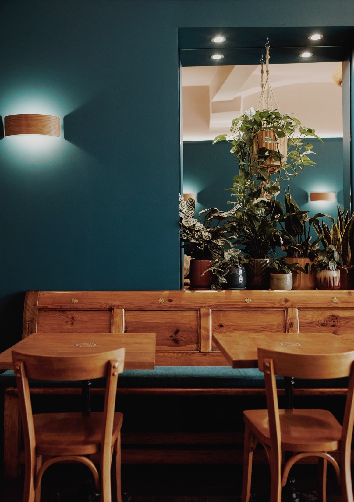 A wooden banquette and bentwood chairs beneath a teal wall, with a mirrored alcove crowded with hanging and potted plants