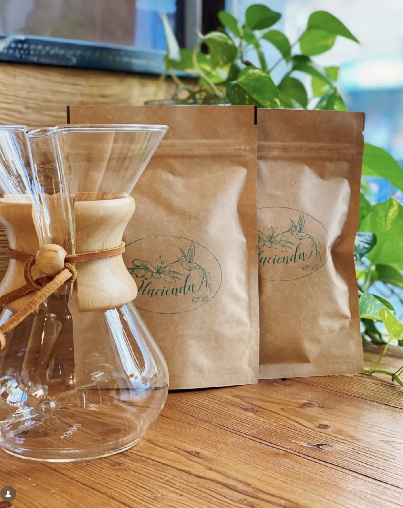 A Chemex pour-over next to two branded 'Hacienda' coffee bean bags on a wooden counter, a plant in the background