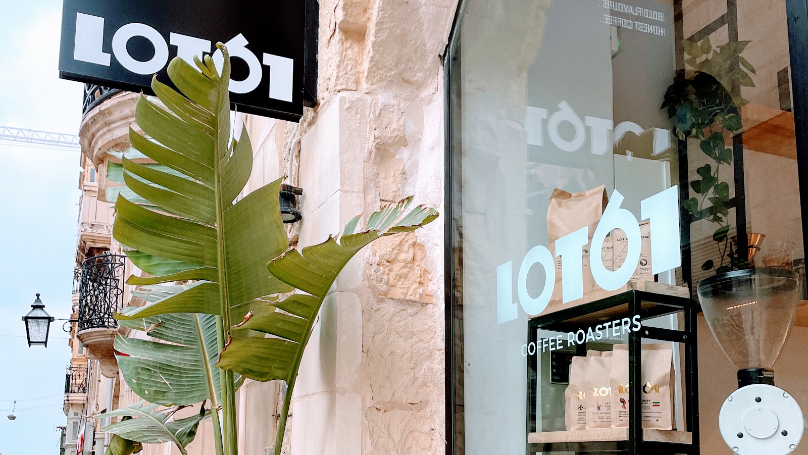 The LOT61 storefront window seen through a large green leafed plant on Old Theatre Street