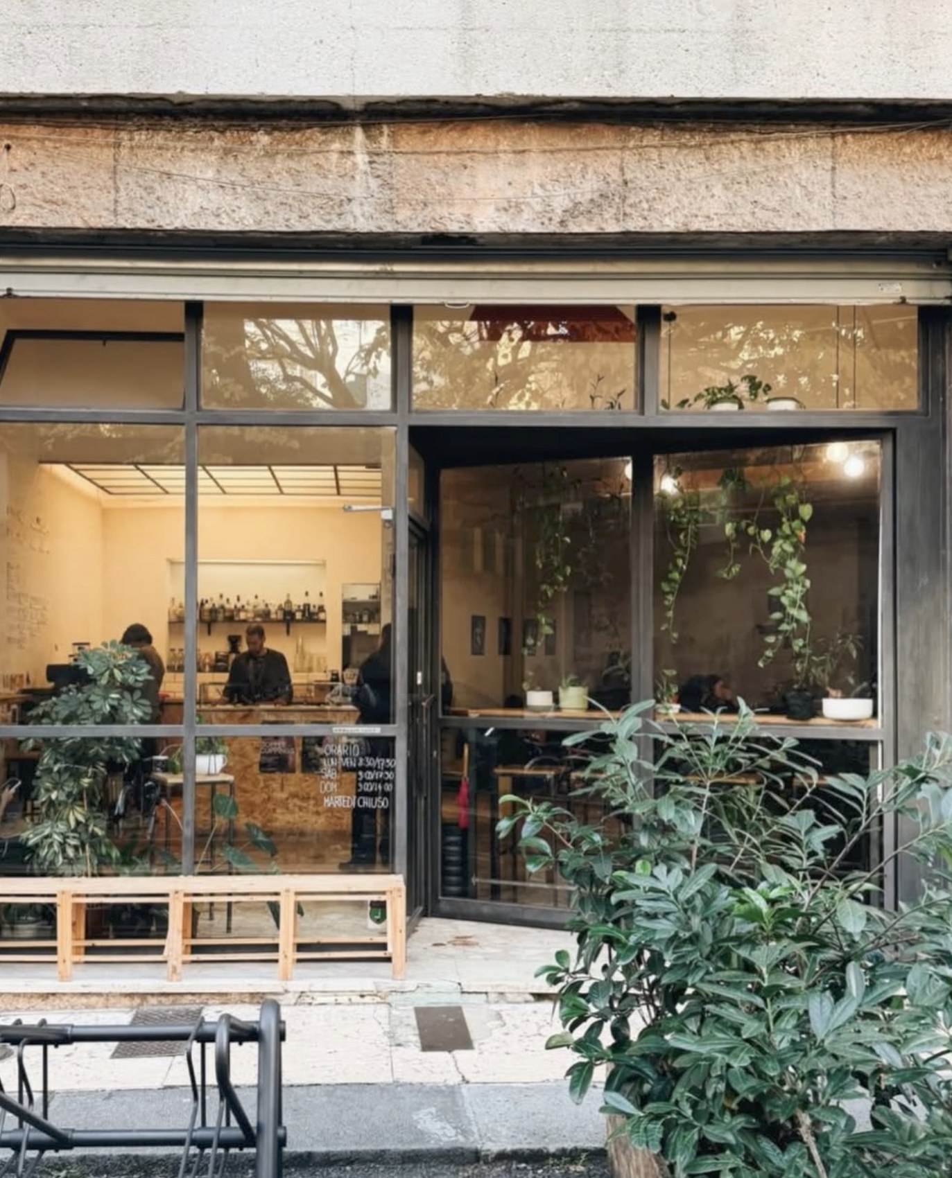 The glass storefront seen from outside with hanging plants in the window, a barista working the counter and a posted hours chalkboard visible inside