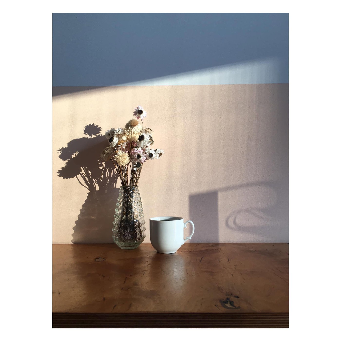 A white mug of coffee beside a vase of dried flowers casting long shadows on a sunlit wall