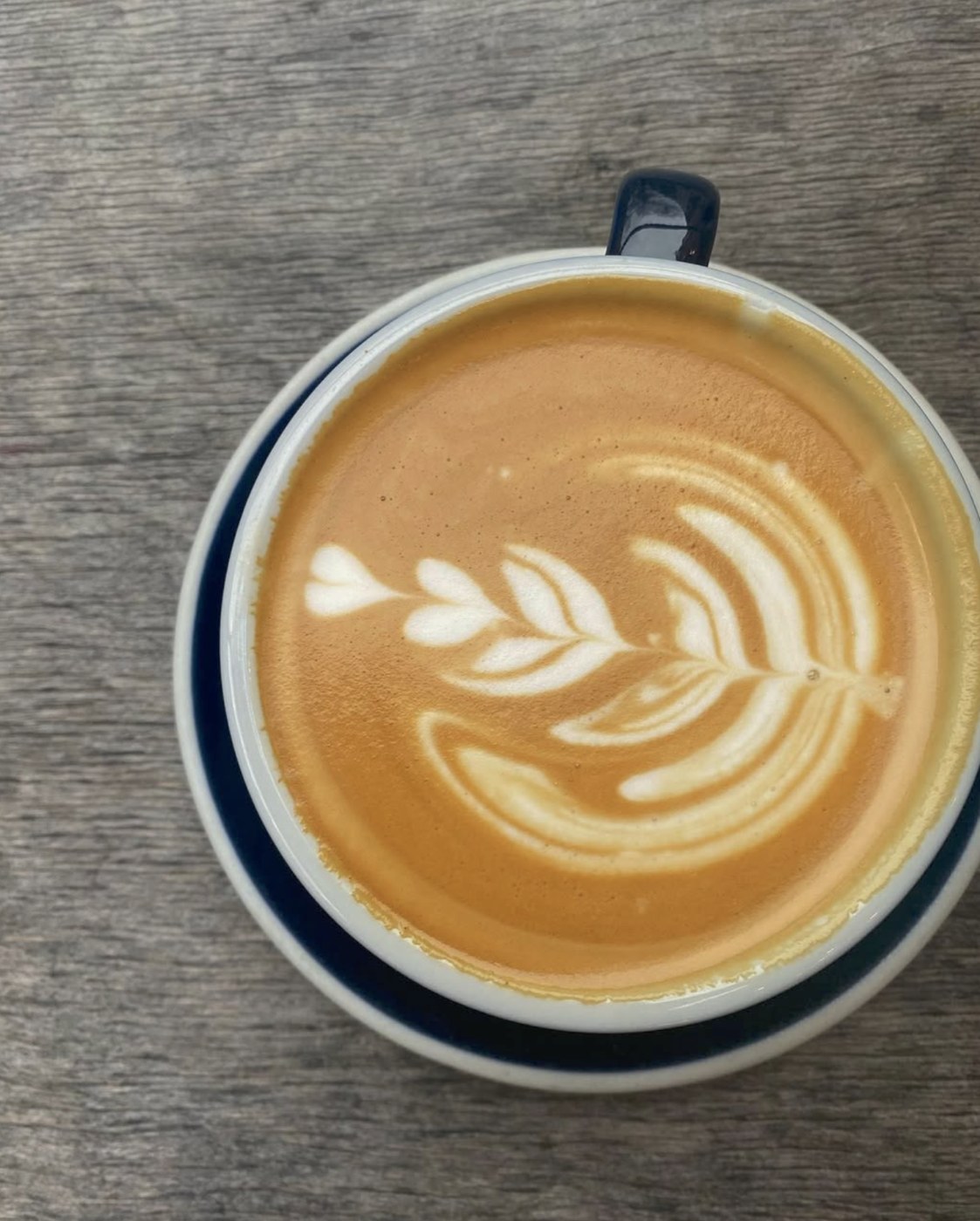 A cappuccino with leaf latte art in a navy rimmed cup on a wooden table at Relaks